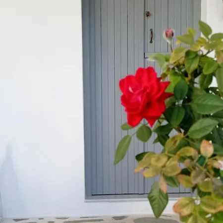 Chanos Luxury Paros *