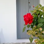 Chanos Luxury Paros *