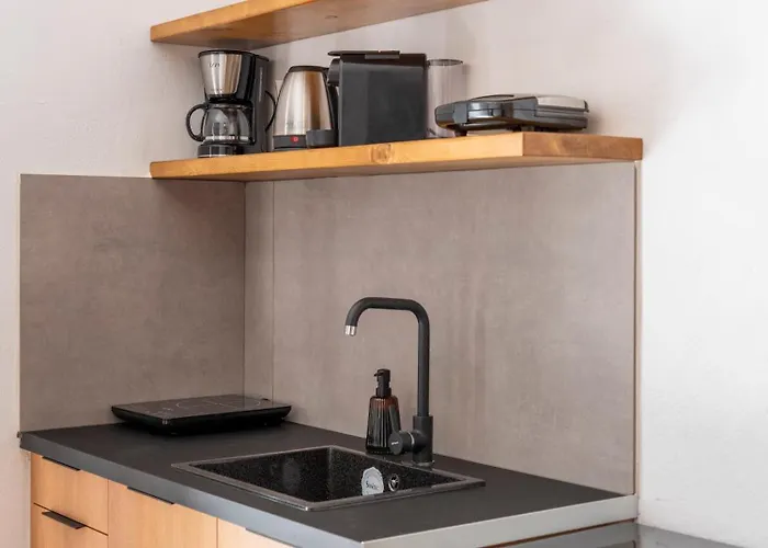 Chanos Luxury Paros 아파트 Alikí